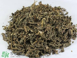 苦菜可以曬干嗎？苦菜怎么曬干？