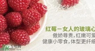 刺泡的熱量 刺泡可以減肥嗎？