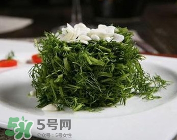 茴香菜怎么做好吃？茴香菜怎么炒好吃