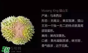 金枕頭和貓山王哪個好？金枕頭和貓山王的區(qū)別