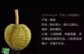 金枕頭和貓山王哪個好？金枕頭和貓山王的區(qū)別