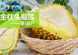 金枕頭榴蓮怎么才算熟？金枕頭榴蓮怎么催熟？