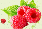 刺泡的熱量 刺泡可以減肥嗎？