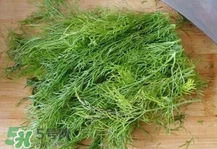 茴香菜是什么菜？茴香菜是香菜嗎