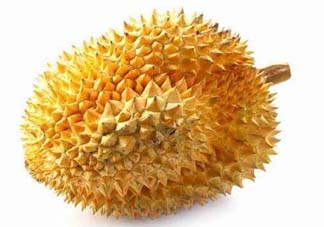 金枕頭和貓山王哪個(gè)好？金枕頭和貓山王的區(qū)別