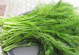 茴香菜是酸性還是堿性？什么人不能吃茴香菜