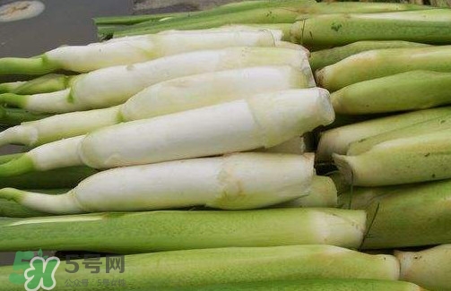 茭白是筍嗎？茭白是高筍嗎