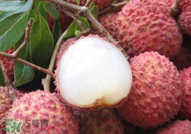 吃荔枝被酒駕怎么辦？吃荔枝酒駕是真的嗎？