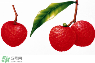 拉肚子能吃荔枝嗎 ？拉肚子可以吃荔枝嗎 ？