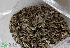艾葉枕頭孕婦可以用嗎？艾葉枕頭小孩可以用嗎