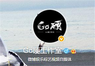 go硬工作室和卓偉有什么關(guān)系？go硬工作室是卓偉前員工成立的？