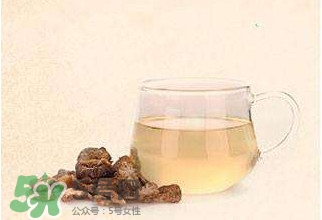 肉蓯蓉可以用白開水泡著喝嗎？肉蓯蓉泡水喝步驟