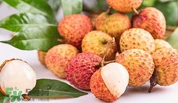 妃子笑荔枝是哪里出產(chǎn)的？妃子笑荔枝產(chǎn)地是哪里