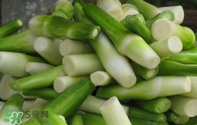 茭白什么時(shí)候上市？茭白什么季節(jié)有