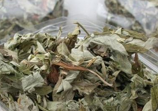 艾葉怎么做枕頭？自制艾葉怎么做枕頭