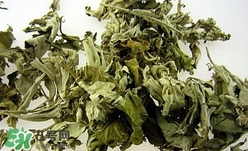 艾葉可以驅(qū)蚊子嗎？艾葉能驅(qū)蚊子嗎