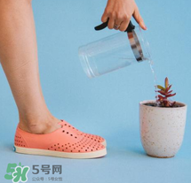 native鞋中文名稱是什么？native鞋中文怎么翻譯？