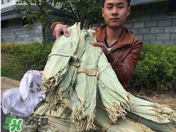 干粽葉怎么煮？干粽葉煮多久？