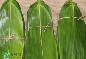 干粽葉要煮嗎？干粽葉到底是泡好還是煮好？