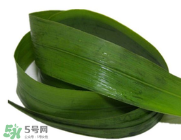 粽葉有幾種？粽葉哪種好？