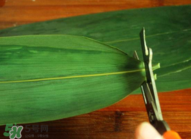 粽葉是干的好還是新鮮的好？干棕葉好還是新鮮棕葉好？