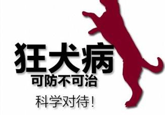 狂犬病會(huì)傳染嗎？狂犬病會(huì)學(xué)狗叫嗎