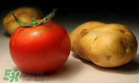 西紅柿能和土豆一起吃嗎？土豆可以和西紅柿一起吃嗎