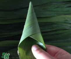粽子葉能冷凍嗎？粽子葉放冰箱冷藏還是冷凍？