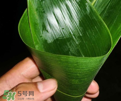 粽子葉能冷凍嗎？粽子葉放冰箱冷藏還是冷凍？