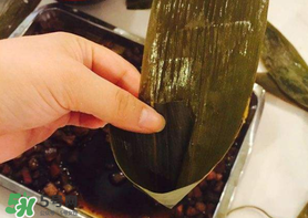 粽子葉怎么煮？煮粽葉的步驟