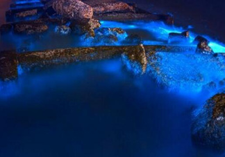 浙江多地驚現(xiàn)藍眼淚現(xiàn)象 藍眼淚是什么？