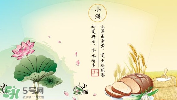 節(jié)氣小滿大滿是什么意思？24節(jié)氣為什么沒有大滿