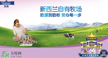 安滿滿睿幼兒配方奶粉怎么樣？安滿滿睿奶粉怎么沖？