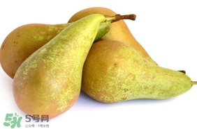 比利時啤梨要削皮嗎？比利時啤梨怎么放軟
