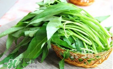 空心菜有毒嗎？空心菜需要焯水嗎？