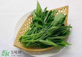空心菜能和雞蛋一起吃嗎？雞蛋可以和空心菜一起吃嗎