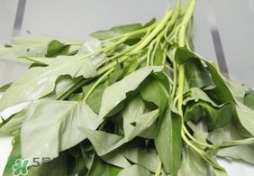 空心菜可以生吃嗎？空心菜能生吃嗎