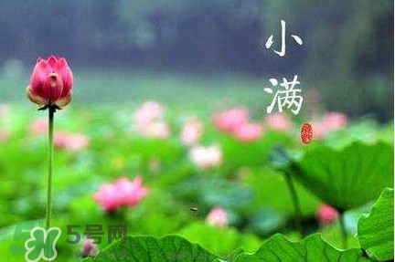 節(jié)氣小滿大滿是什么意思？24節(jié)氣為什么沒有大滿