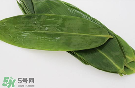 新鮮粽葉怎么處理？新鮮粽子葉怎樣處理？