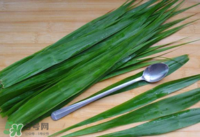 粽葉是蘆葦葉嗎？粽葉和蘆葦葉的區(qū)別