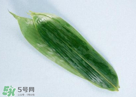 箬葉可以包粽子嗎？箬葉怎么包粽子？
