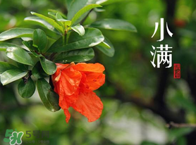?小滿可以回娘家嗎？?小滿能回娘家嗎？
