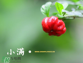 ?小滿可以回娘家嗎？?小滿能回娘家嗎？