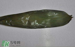 粽葉怎么曬干？粽葉怎么曬干不卷？