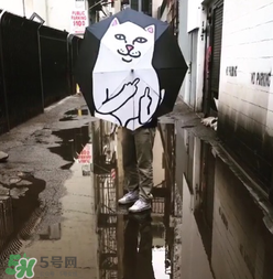 ripndip是什么牌子？ripndip是什么檔次？
