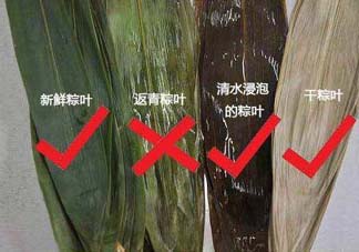 粽葉怎么曬干？粽葉怎么曬干不卷？