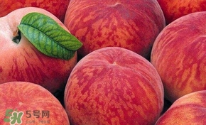 桃子和西瓜一起吃會(huì)中毒嗎？桃子和西瓜能一起吃嗎？