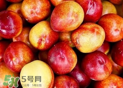 桃子的種類有哪些？哪種桃子最好吃？