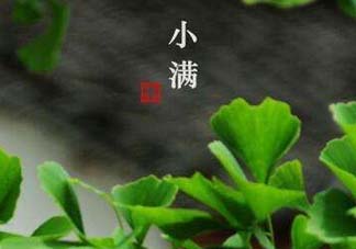 ?小滿可以回娘家嗎？?小滿能回娘家嗎？