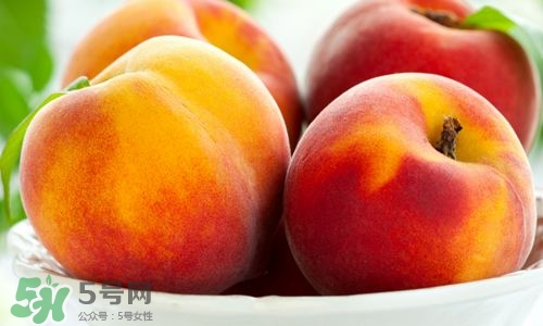 桃子的種類有哪些？哪種桃子最好吃？